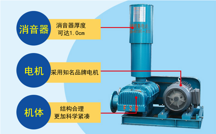 豐源羅茨風(fēng)機(jī)優(yōu)勢